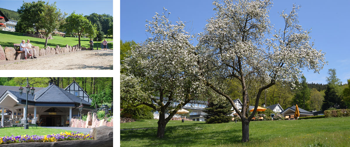 Haus-Hilmeke-Bildercollage-Frühling