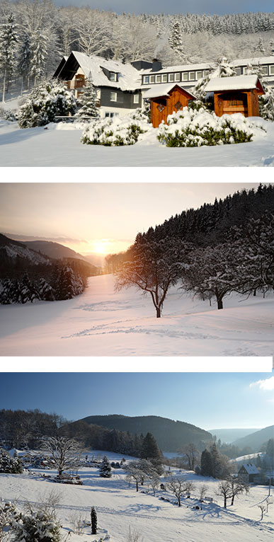 Haus-Hilmeke-Bildercollage-Winter-mobil